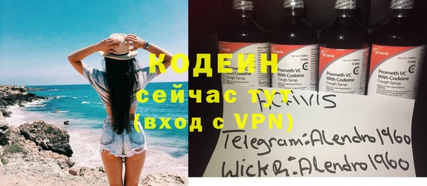 сатива Лабытнанги