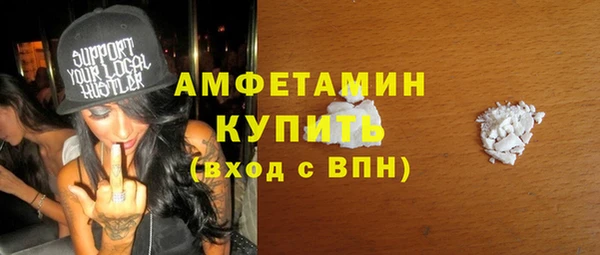 сатива Лабытнанги