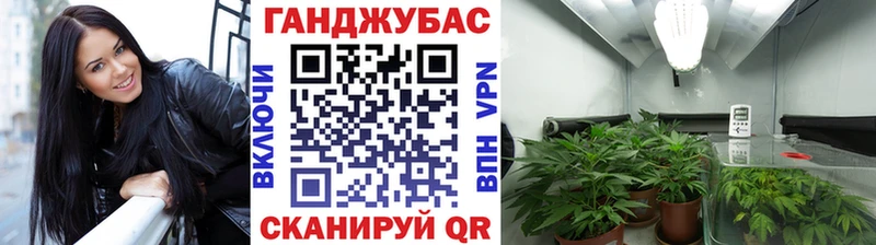 МАРИХУАНА гибрид Горячеводский